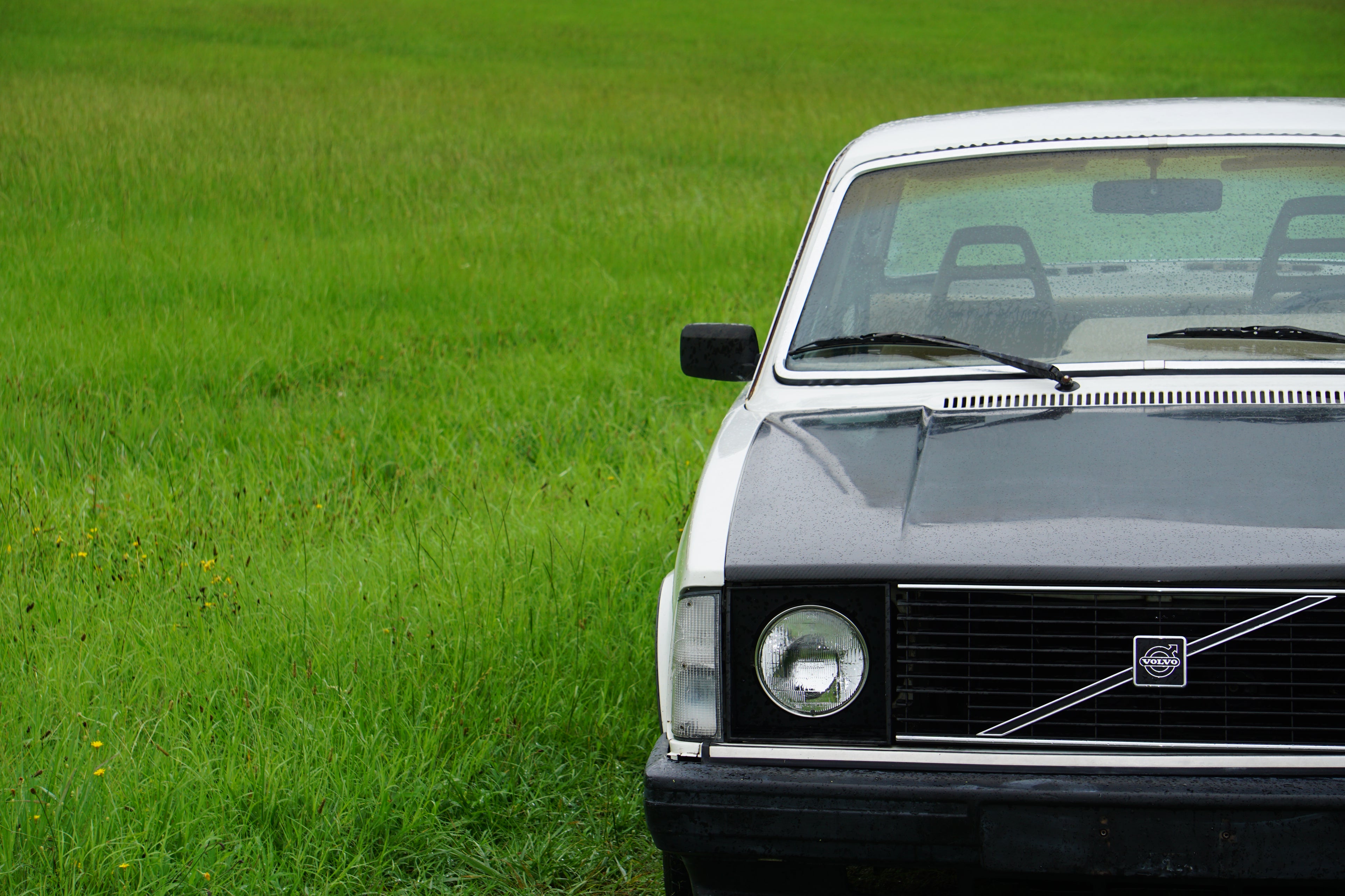 Volvo 240 Flat Hood- Fiberglass